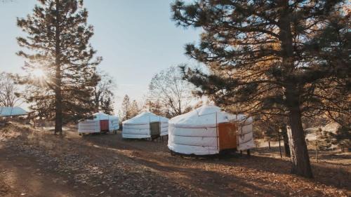 Dunlap Casa | Glamping yurt at Sequoia Highland Camp