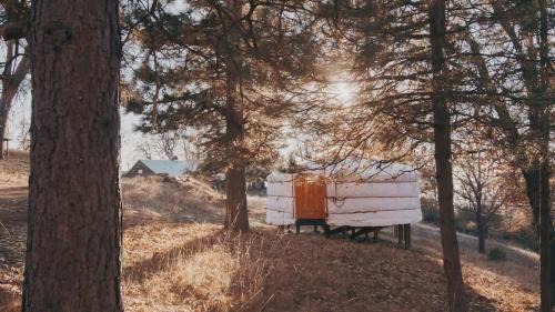 Dunlap Casa | Glamping yurt at Sequoia Highland Camp