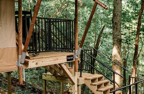 Knoxville Alquiler De RV | GlampKnox - Tree Solo