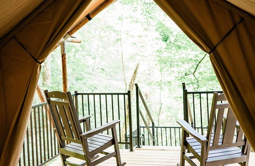 Knoxville Alquiler De RV | GlampKnox - Tree Solo