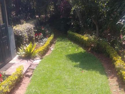 Coonoor Casa | Glenwood Cottage