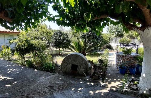 Dorida Apartamento | Glyfada's Family Apartment