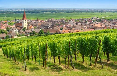 Ammerschwihr Apartamento | Goélia Le Domaine du Golf