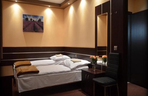 Dabrowa Gornicza Cama Y Desayuno | Gościniec Biznesowy