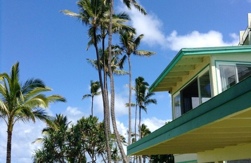 Punaluu Condominio | Retrocede en el tiempo a lo real Hawaii Y La última escapada.