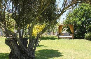 St. Helena Bay Casa | Goblin's Creek