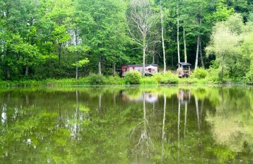 Saint-Priest-les-Fougeres Otro | GoGreen Roulotte