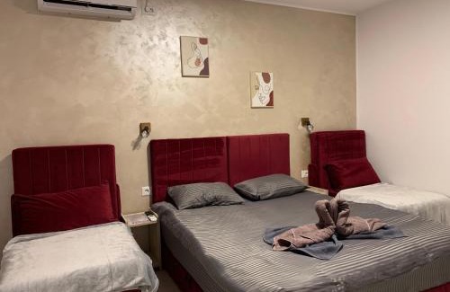 Constanta Casa | Gold Star House
