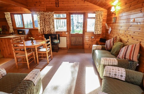 Alford Casa | Goldcrest
