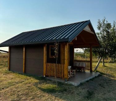 Stari Banovci Cama Y Desayuno | Golden Carp Lake