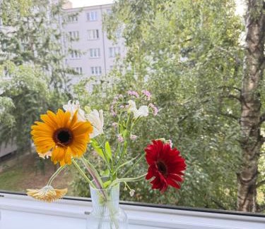 Vrsovice Apartamento | Golden Nest