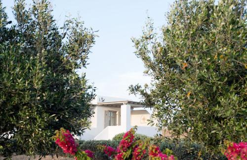 Chrissi Akti Apartamento | Golden Sand Paros