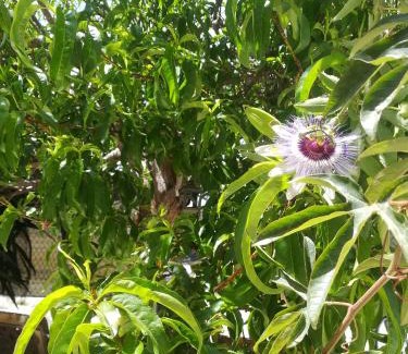 Paralimni Apartamento | Golden sunshine