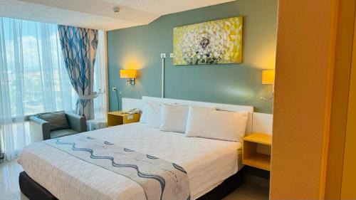 Belize City Hotel | Golden Tree Hotel Belize