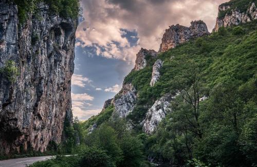 Stara Planina Apartamento | Golemi kamik Pirot Vlasi 2