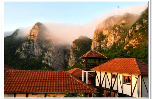 Stara Planina Apartamento | Golemi kamik Pirot Vlasi 4
