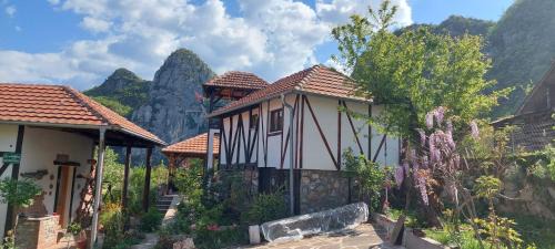 Stara Planina Apartamento | Golemi kamik Pirot Vlasi 4