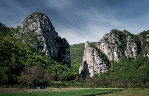 Stara Planina Apartamento | Golemi kamik Pirot Vlasi