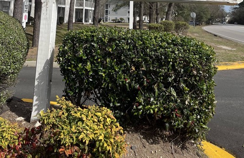 Carolina Forest Condominio | Golfer's Delight