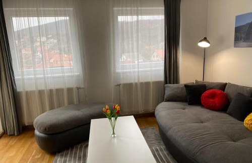 Golubac Apartamento | Golubica