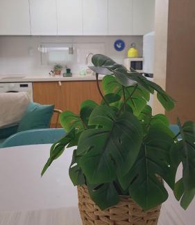 Sadang-dong Apartamento | Good Daisy