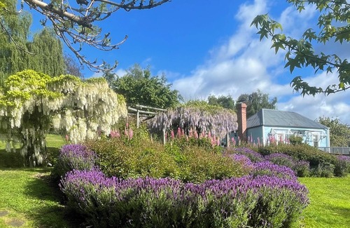 Castle Forbes Bay Cabaña | Gorgeous cottage in the heart of the picturesque Huon Valley.