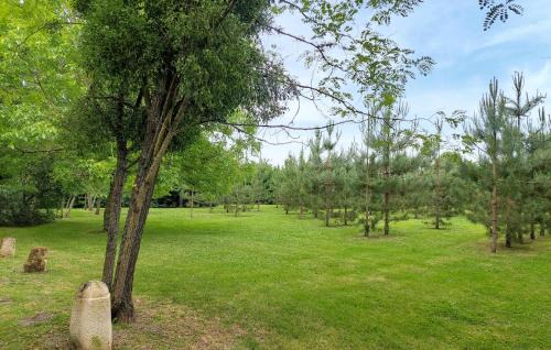 Gans Casa | Gorgeous Home In Gans With Kitchen