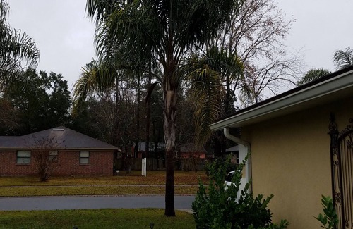 Westside Casa | Hermosa casa de luz y brillante en el oeste de Jacksonville