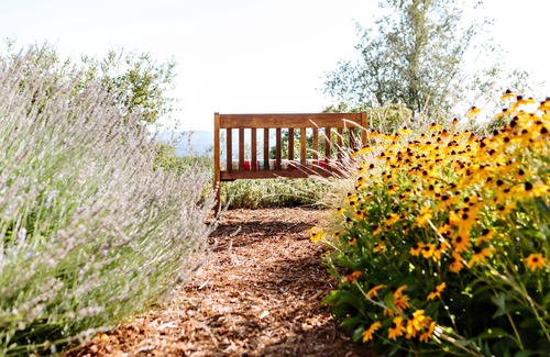 Vichy Springs Casa | Gorgeous, Private Napa Valley Estate, Beautiful Views