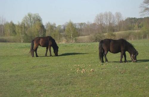 Gietrzwald Casa | Gospodarstwo Agroturystyczne Leśna Polanka