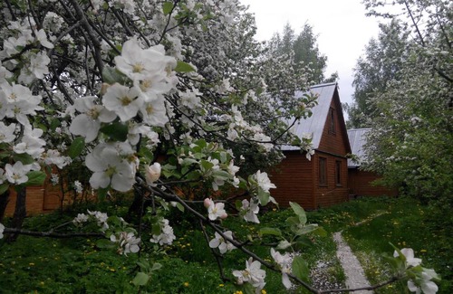Prislon Casa | Gostevoi dom na Volge
