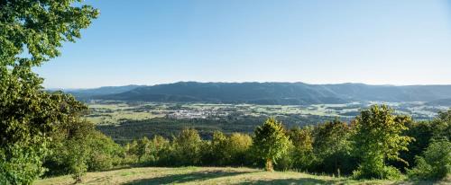 Ribnica Casa | Gostilna in picerija Harlekin