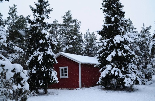 Visby Casa | Gotland holiday surrounded by forest