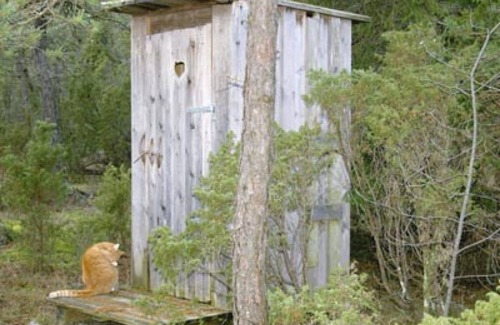 Visby Casa | Gotland holiday surrounded by forest