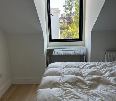 Dublin Casa | Gowrie