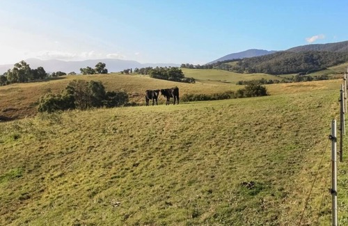 Badger Creek Casa | Gracedale Hills Homestead