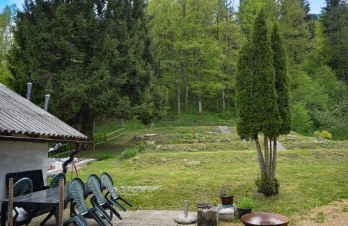 Kocevje Otro | Grajski kamp - pitch your own tent