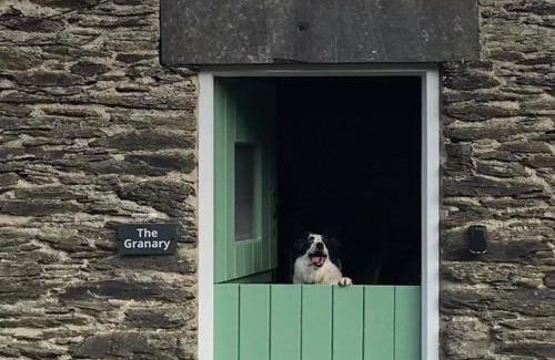 Bryn-crug Casa | Granary Retreat for 2 inc shared Dog Field