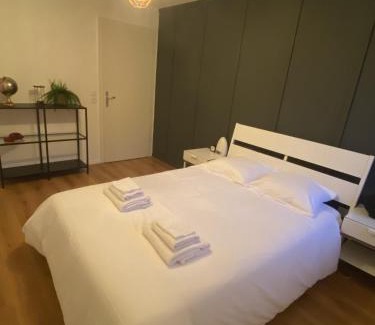 Plobsheim Apartamento | Grand 2 pièces Eurométropole de Strasbourg proche Europa Park avec terrasse