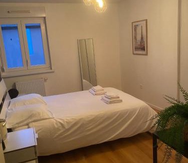 Plobsheim Apartamento | Grand 2 pièces Eurométropole de Strasbourg proche Europa Park avec terrasse