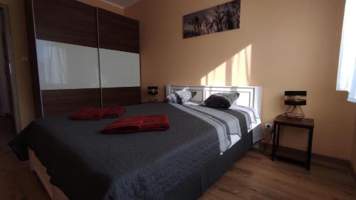 Ilawa Apartamento | Grand Apartament nad Iławką