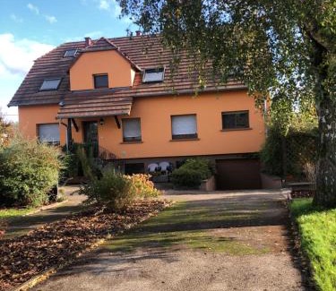 Schweighouse-sur-Moder Apartamento | Grand appartement au cœur de la région alsacienne