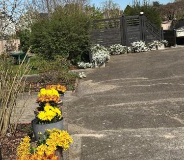 Schweighouse-sur-Moder Apartamento | Grand appartement au cœur de la région alsacienne