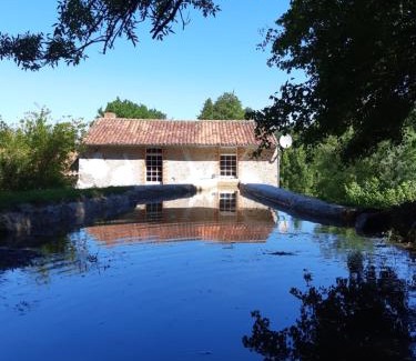 Saint-Laurent-du-Mottay Casa | Grand gîte dans son écrin de Nature