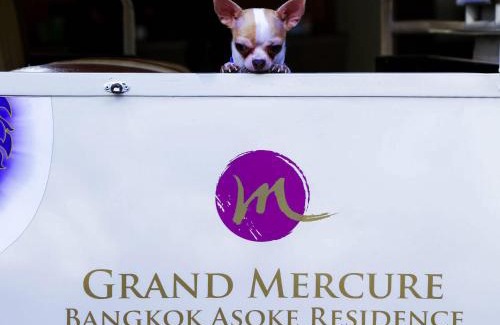 Khlong Toei Nuea Hotel | Grand Mercure Bangkok Asoke Residence