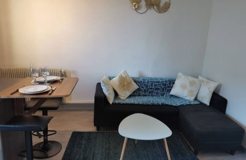 Rives de Meurthe Apartamento | Grand Nancy T 2 old renovated