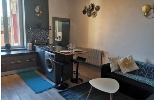 Rives de Meurthe Apartamento | Grand Nancy T 2 old renovated