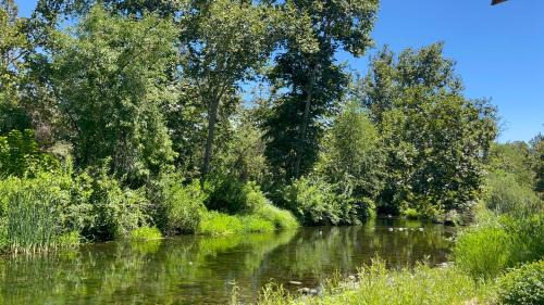 Kaweah Casa | Grand Riverside Retreat - Private Walkway to the River