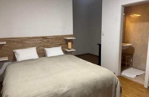 Lausanne Casa | Grande chambre avec Salle de Bains Privative