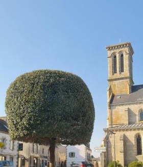 Nevez Casa | Grande Maison dans le Bourg de Nevez + jardin